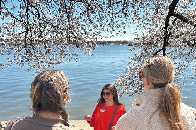 DC in Spring: Cherry Blossom & Tidal Basin Memorials Walking Tour - Who Should Consider This Tour?