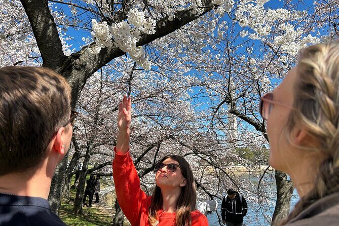 DC in Spring: Cherry Blossom & Tidal Basin Memorials Walking Tour - The Sum Up