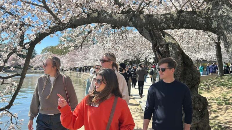 DC: Washington Monument Ticket & National Mall Memorial Tour - Key Points