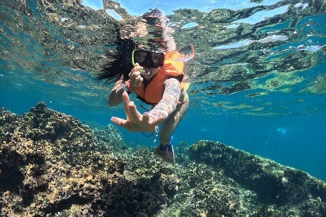 DE Huatulco Secret Reefs Snorkeling Tour DE Huatulco - An In-Depth Look at the DE Huatulco Secret Reefs Snorkeling Tour