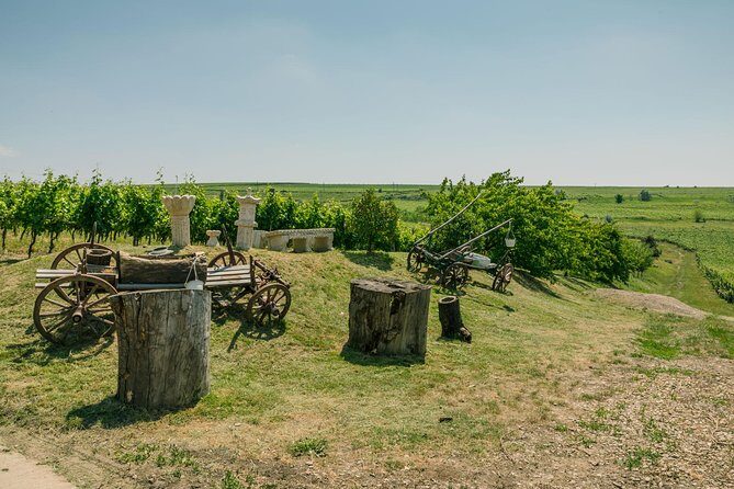 Dealu Mare wine country tour - Lunch Included - Who Will Love This Tour?