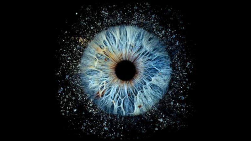 Deauville: Reveal the beauty of your iris with Iris Galerie - What You Can Expect at Iris Galerie in Deauville