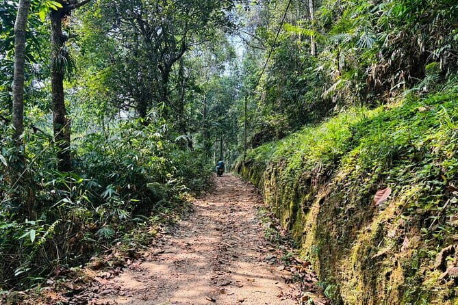 Dediyagala Village Tour(from Galle, Mirissa, Ahangama, Matara) - Introduction to the Dediyagala Village Tour