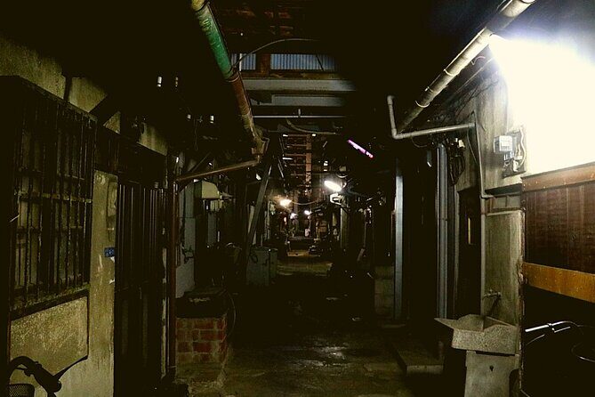 Deep Backstreet Osaka Tours (Option to add Dinner) - Comprehensive Review of the Tour