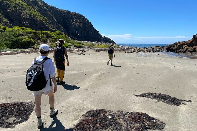 Deep Creek Hike: Trails and Tales with a Foreign Flair - The Return Journey and Reflection