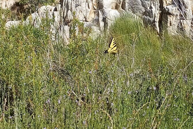 Deep Creek Hot Springs Adventure from Los Angeles - An Honest Look at the Deep Creek Hot Springs Tour