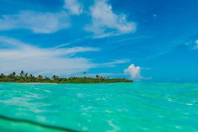 Deep into Nature at Sian Ka'an Biosphere! Round Transportation From Riviera Maya - A Detailed Look at the Tours Highlights