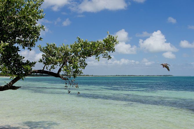 Deep into Nature at Sian Ka'an Biosphere! Round Transportation From Riviera Maya - The Sum Up: Is This Tour Worth It?