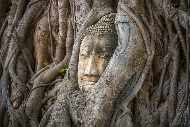 Definitive tour of 4 ancient capitals Ayutthaya ruins in Japanese - What Makes This Tour Stand Out?