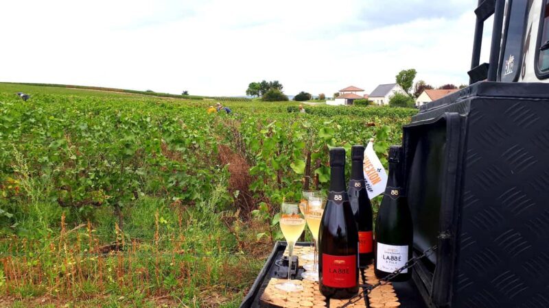 Dégustation de champagne balade panoramique dans les vignes - Key Points