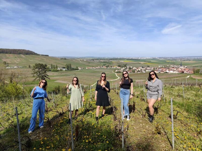 Dégustation de champagne balade panoramique dans les vignes - An Introduction to a Champagne Safari in the Vineyards