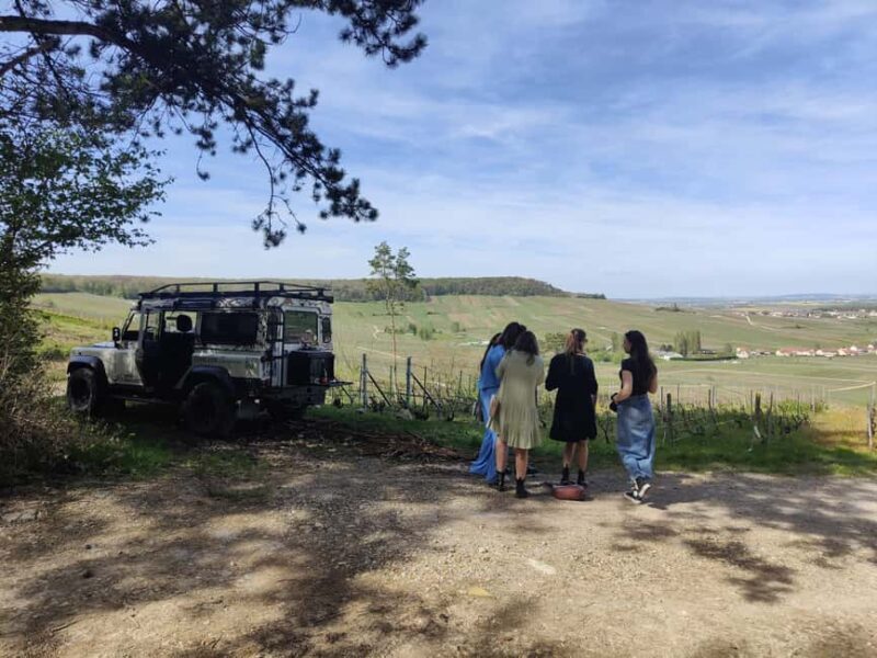 Dégustation de champagne balade panoramique dans les vignes - Pricing and Value