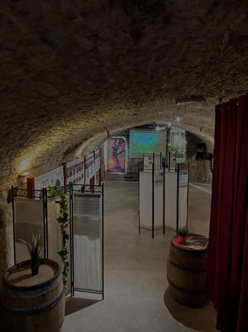 Dégustation de vins au Caveau Délicave - Key Points