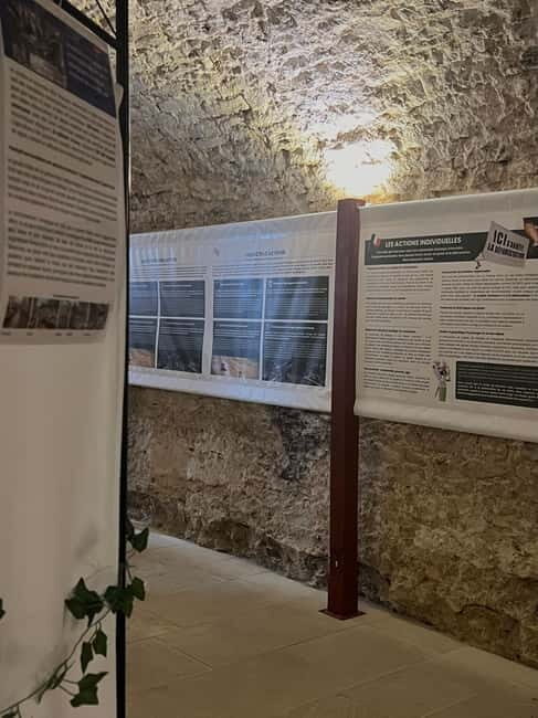 Dégustation de vins au Caveau Délicave - The Setting & Atmosphere