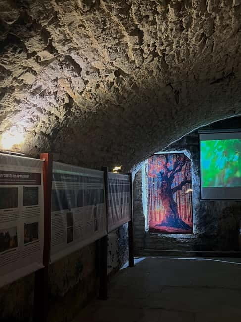 Dégustation de vins au Caveau Délicave - Final Thoughts