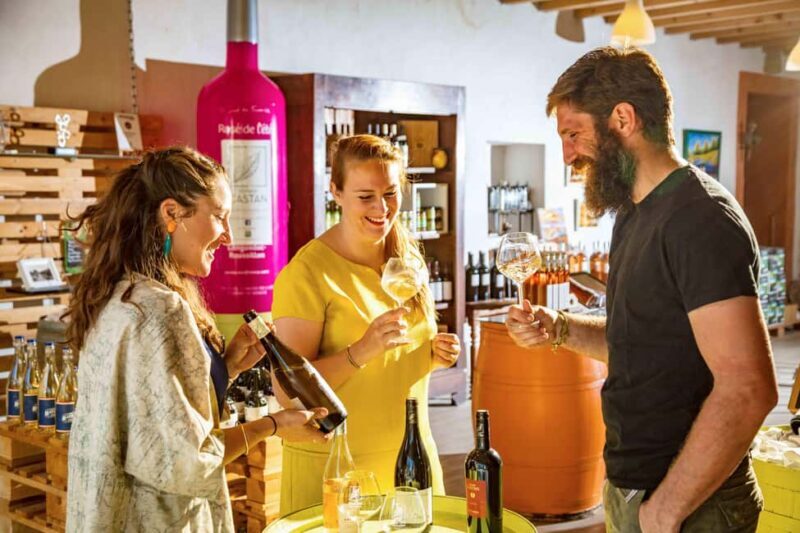 Dégustation Terroir : Journey to the heart of Domaine Castan's flavours - Key Points