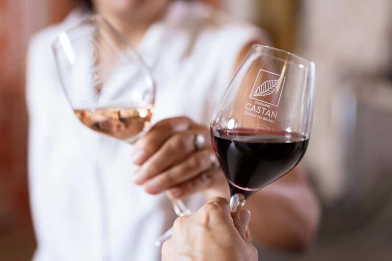 Dégustation Terroir : Journey to the heart of Domaine Castan's flavours - An In-Depth Look at the Experience