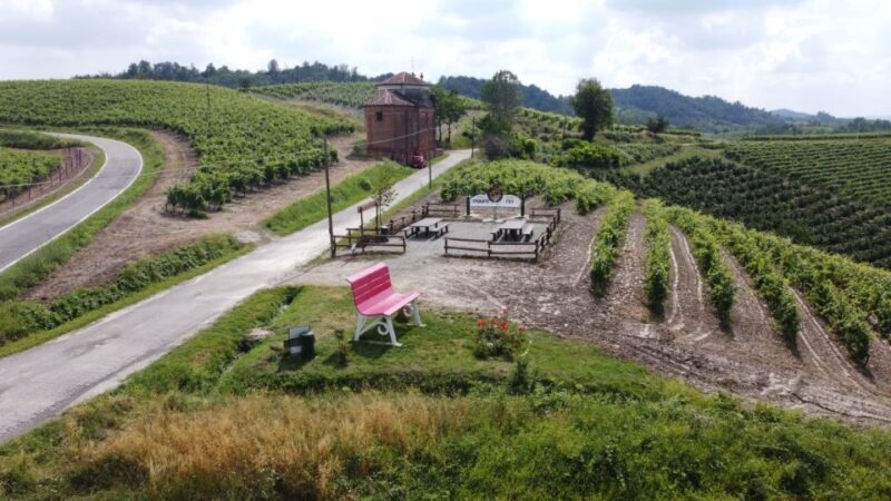 Degustazione di vini del Monferrato con visita della cantina - Who Should Consider This Tour?