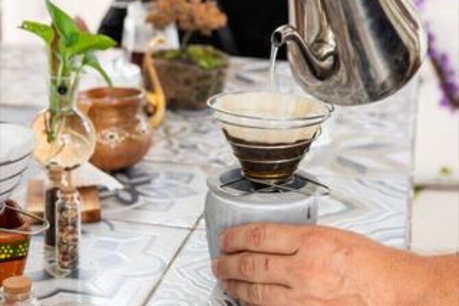 Del Grano al Cafe Learn how to roast grind and prepare coffe - What to Expect: A Deep Dive into Mexican Coffee