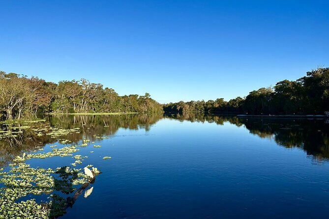 DeLeon Springs River Boat Tour - Detailed breakdown of the itinerary
