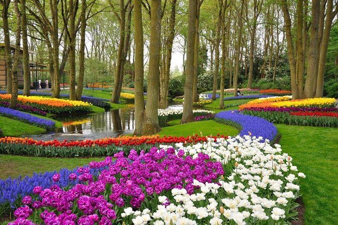 Delft and Keukenhof Gardens Tour from Brussels - An In-Depth Look at the Tour Experience