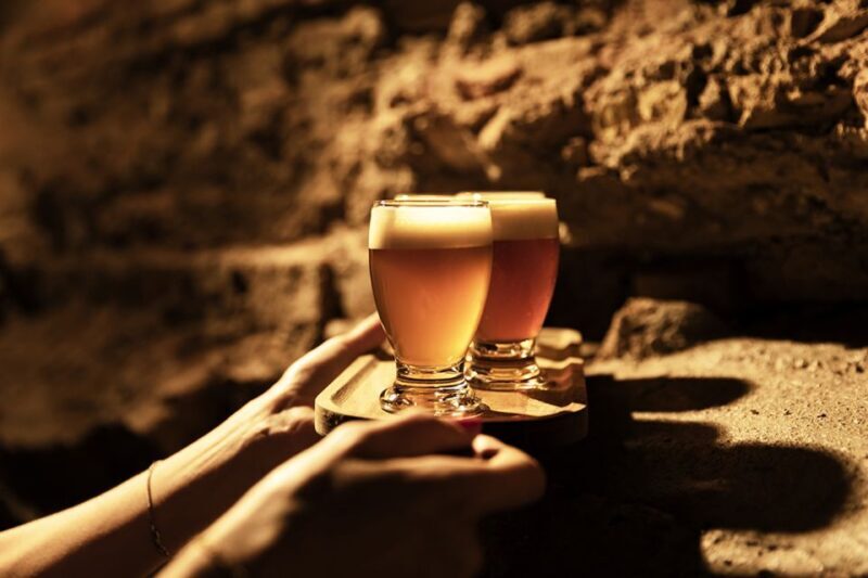 Delft: Craft Beer Tasting in Medieval Brewery with Snacks - Who Should Consider This Experience?