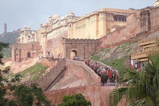 Delhi Agra Jaipur Tour with Ranthambore Wildlife Safari - Key Points