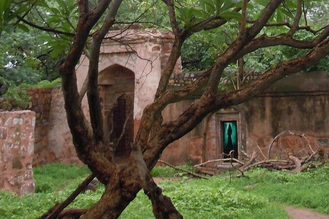 Delhi Haunted and Creepy Ruins Discovery - Key Points