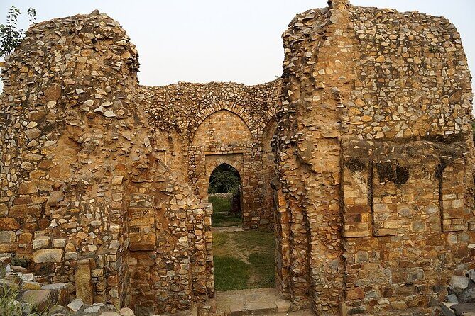 Delhi Mehrauli Archaeological Park Half Day Walking Tour - Authentic Insights from Reviewers