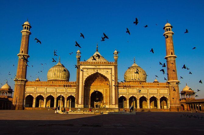 Delhi: Old and New Delhi Private Full or Half-Day Tour - What’s Included & What’s Not