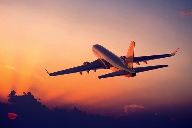 Delhi Private Arrival Transfer: Airport to Hotel in Delhi - Introduction