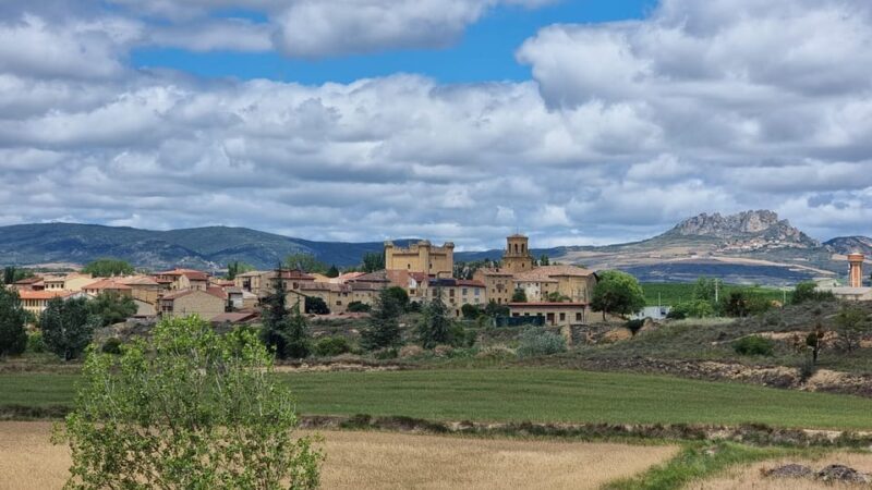 Delivery Bike Rental and Guided Tours in La Rioja - Key Points