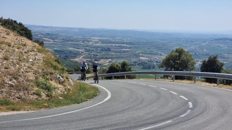 Delivery Bike Rental and Guided Tours in La Rioja - Who Should Consider This Tour?