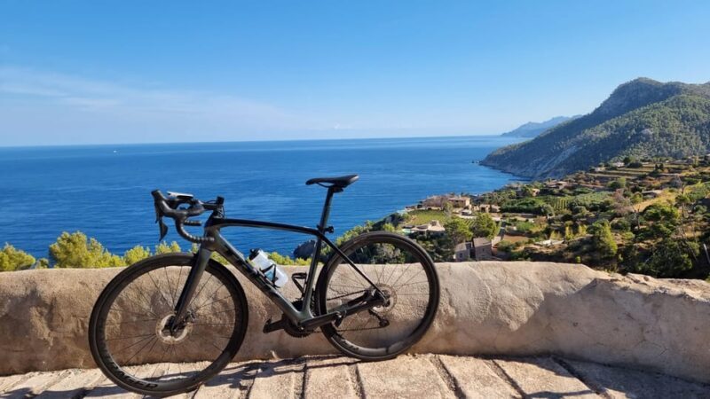 Delivery Bike Rental and Guided Tours in La Rioja - The Sum Up