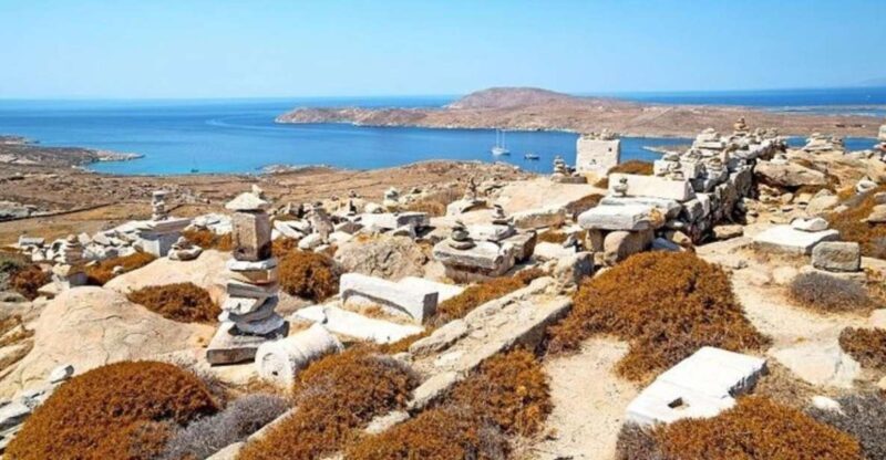 Delos and Mykonos One Day Cruise from Naxos - The Itinerary in Detail