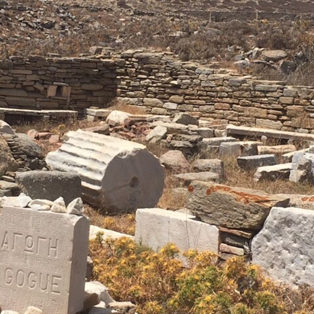 Delos Synagogue: Jewish Heritage Private Tour from Mykonos - An In-Depth Look at the Experience