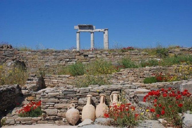 Delos Tour from Mykonos - Final Thoughts: Is This Tour for You?