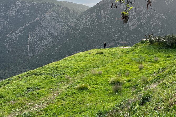 Delphi and Osios Loukas Byzantine Monastery - An In-Depth Look at the Delphi and Osios Loukas Byzantine Monastery Tour
