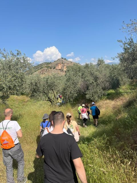 Delphi: Easy Hike from the Monastery to the Mycenaean tomb - Final Thoughts