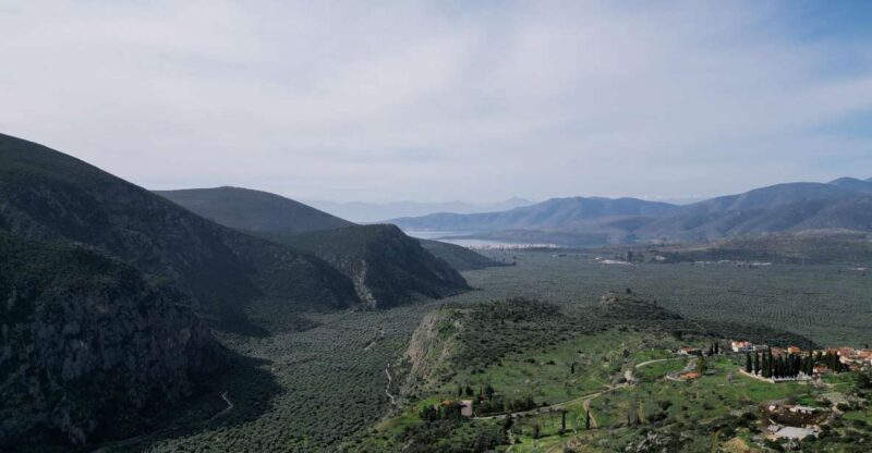 Delphi: Easy Hike on Ancient Path through the Olive Groves - Practical Details & Value