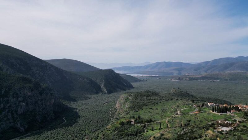 Delphi: Easy Hike on Ancient Path through the Olive Groves - Who Will Love This Tour?