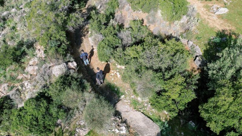 Delphi: Easy Hike on Ancient Path through the Olive Groves - The Sum Up