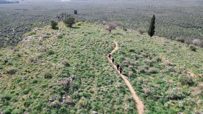 Delphi: Easy Hike on Ancient Path through the Olive Groves - FAQ