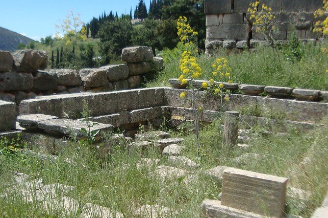 Delphi Self-guided Audio Tour on Your Phone (no ticket) - Practical Details: What You Need to Know
