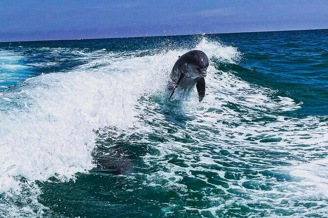 Deluxe 115HP Pontoon Rental - Practical Details to Keep in Mind