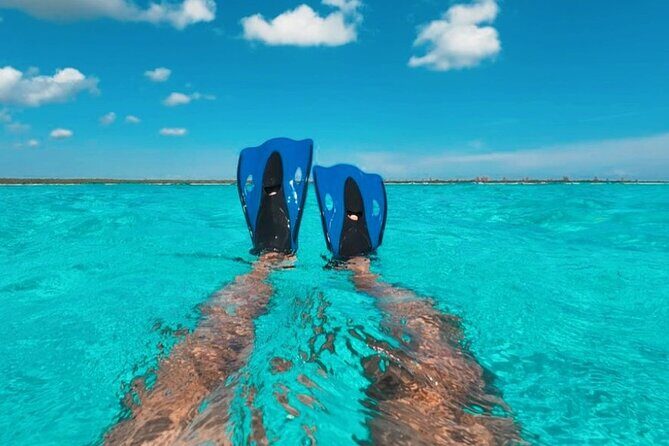 Deluxe Catamaran Tour to Isla Mujeres, Drinks, Snorkeling, Buffet - Who Will Enjoy This Tour?