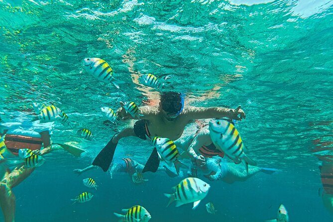 Deluxe Catamaran Tour to Isla Mujeres, from Playa del Carmen - FAQ