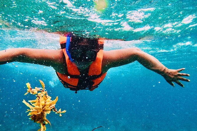 Deluxe Catamaran Trip to Isla Mujeres, from Costa Mujeres Resorts - Practical Considerations