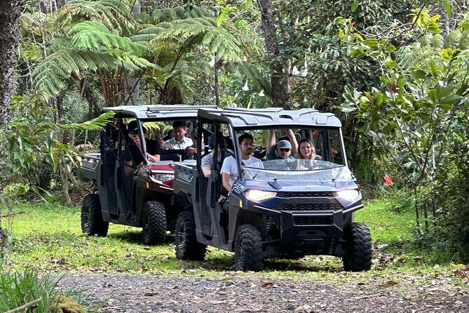 Deluxe Coffee Culture Tour from Berry to Brew in 60 Minutes - Key Points