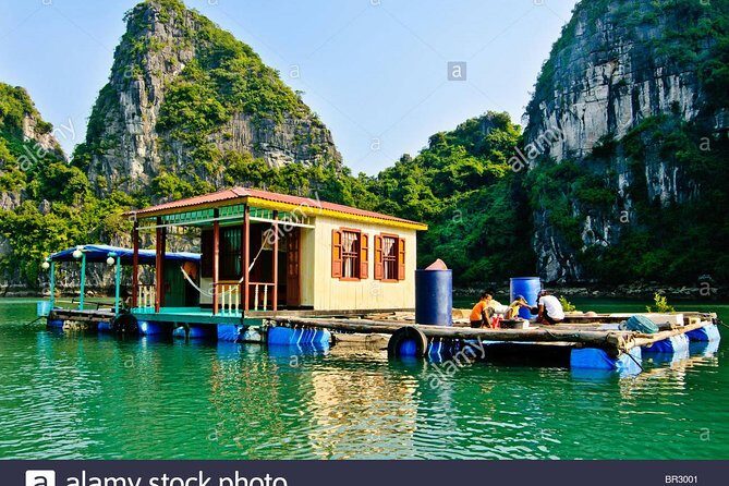 Deluxe Halong Bay 6 Hours Cruise To Visit Surprising Cave And Titop Island - Who Should Book This Tour?